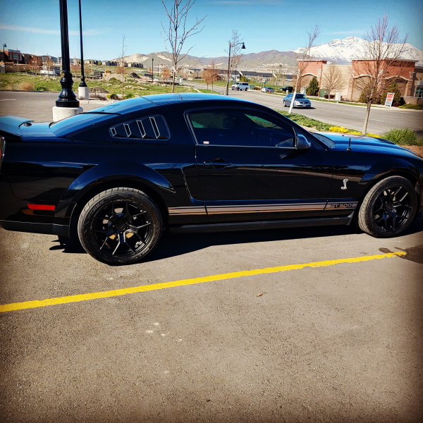 B ward 2007 gt500