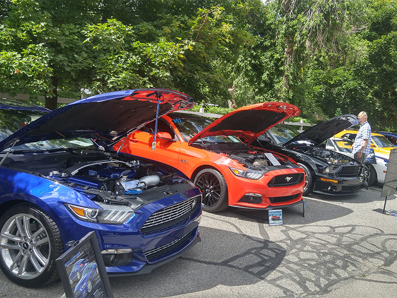 2019IMAFS-9.jpg