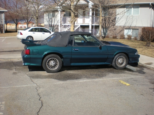 DSCN1252.JPG