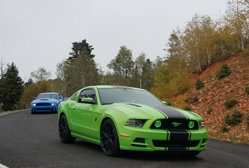 green.jpg