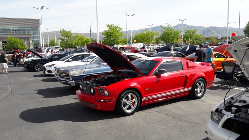 More pics from our Spring Breakout Show