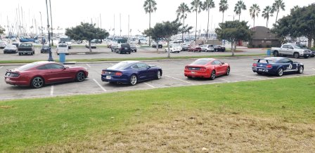 Ponies at the Pike Postponed Cruise