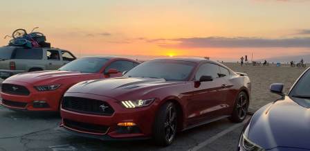 Ponies at the Pike Postponed Cruise
